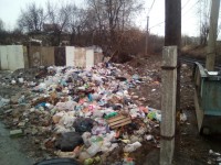 Тагильчане жалуются на валяющийся во дворах домов и садах мусор (фото)