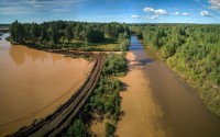 В реку Тагил сбрасывают коричневую воду. А городской пруд «позеленел» вслед на Черноисточинским (фото)