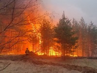 В Свердловской области задержали поджигателя сухой травы