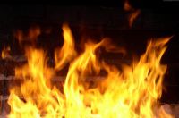 75-летняя тагильчанка сгорела в собственном доме
