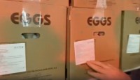 Россельхознадзор показал яйца из Турции. Сколько они будут стоить