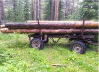 Под Черемшанкой обнаружили нелегальную вырубку леса (фото)