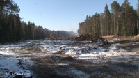 МУП «Тагилдорстрой» заказал перевозку вырубленной древесины за 2 млн рублей