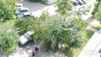 В Нижнем Тагиле во дворе дома дерево упало на припаркованные автомобили (фото)