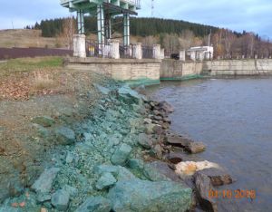 Нижнему Тагилу угрожает экологическая катастрофа: Черноисточинский пруд, который снабжает водой полгорода, отравляют токсичные водоросли