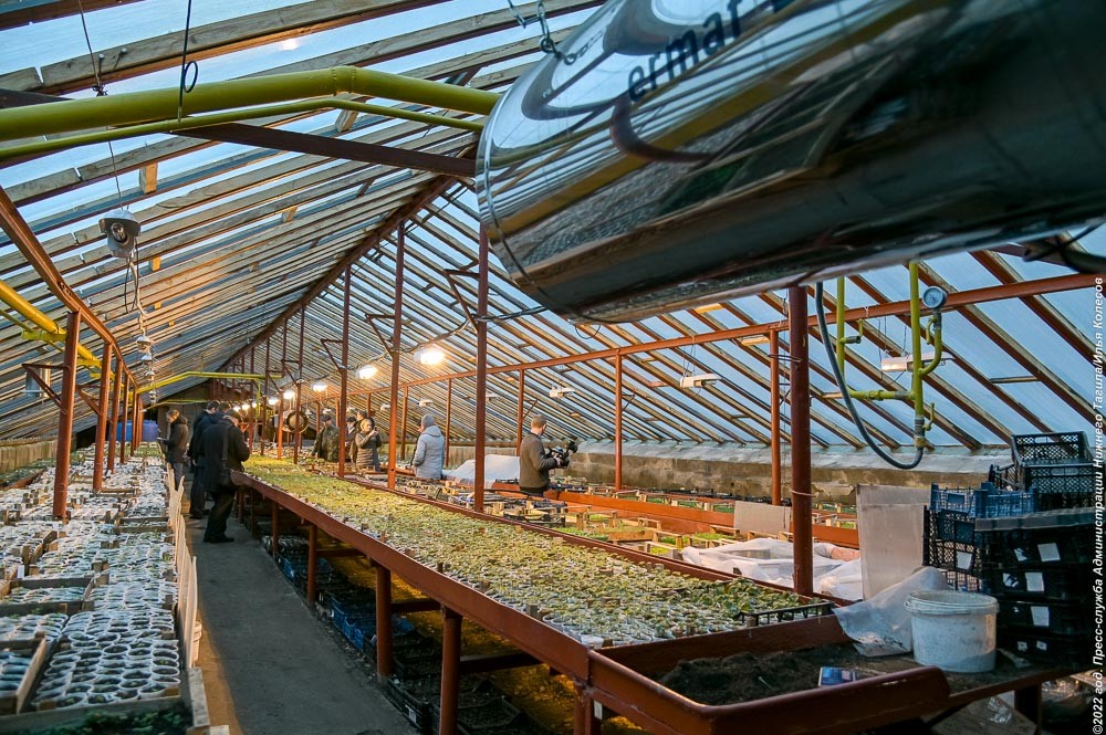 В Нижнем Тагиле восстановили теплицу «Горзеленхоза» (фото)