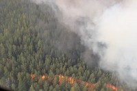 Не справились: Свердловская область стала первой по площади сгоревших лесов