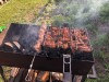 В Свердловской области разрешат жарить шашлыки и разводить огонь