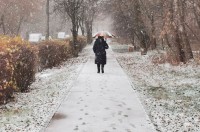 Свердловчан предупредили о мокром снеге и заморозках до -9