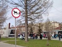 300 тысяч рублей штрафа выписаны организаторам катания на пони и олене у парка Бондина