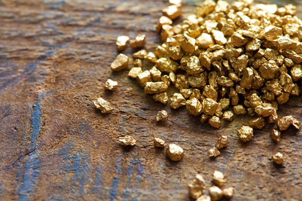 «Там 150 тонн ресурсов»: под Нижним Тагилом будут добывать золото
