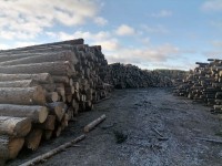 Администрация Нижнего Тагила продала древесины на 8 млн и теплую стоянку за 22 млн