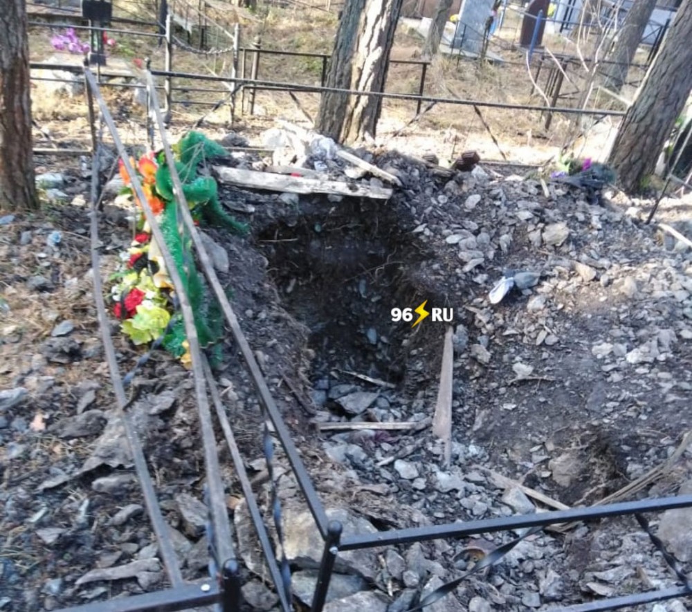 В Нижнем Тагиле медведь разрыл свежую могилу и съел труп человека (фото)