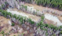 ООО «Водоканал-НТ» обвинили в создании нового шламонакопителя. Отходы сливают в лес, оттуда они попадают в Тагильский пруд