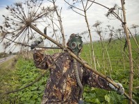 В Нижнем Тагиле бульдозерами борются с опасным растением - борщевиком (видео)