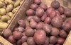 В Нижнем Тагиле заметили картофель за 200 руб. На магазин пожаловались в прокуратуру