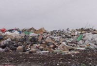 На полигоне мусорного завода в Тюмени обнаружили неотсортированные отходы. Как такое возможно?