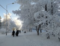 Свердловские синоптики дали официальный прогноз на конец декабря
