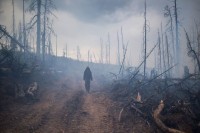 Свердловские власти объяснили, почему отказались от помощи в тушении леса, несмотря на предупреждения Москвы