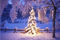 Крепкий мороз: свердловские синоптики дали официальный прогноз на праздники
