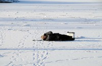 В Нижнем Тагиле спасатели нашли рыбака, который пьяным уснул на льду (фото)