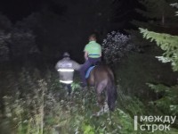 В Нижнем Тагиле спасатели ночью вытащили из болота 25-летнюю девушку на коне (фото)