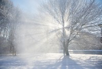 Свердловчанам пообещали 30-градусные морозы в новогоднюю ночь