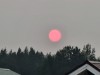 Посмотрите на кроваво-красное солнце в Нижнем Тагиле (фото)
