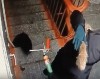 В Нижнем Тагиле женщина запенила шумным соседям дверь (видео)