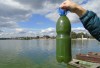 «Результаты великолепные»: Пинаев доволен экспериментальной установкой по очистке воды