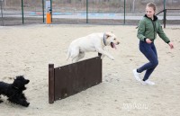 В парке «Народный» открылась площадка для выгула собак (фото)