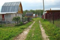 Государство взялось за садовые товарищества: многим зарегистрированным по советским нормам садам грозит ликвидация