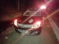 На Серовском тракте лось выскочил перед машиной. В аварии есть пострадавшие (фото)