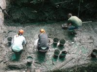 Под Нижним Тагилом археологи обнаружили наконечники стрел и кинжалы, которым более 6 тыс. лет (фото)