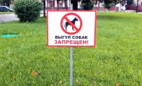 В Нижнем Тагиле запретят выгул собак у школ, детсадов и больниц