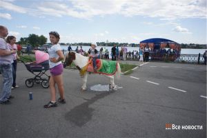 Тагильчанам запретят кататься на лошадях на Театральной площади