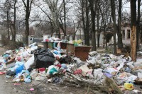Зимой раз в три дня, летом - каждый день: тагильчане смогут жаловаться на невывезенный мусор из дворов по «горячей линии» «Рифея»