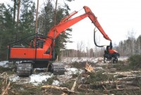 Мэрия Нижнего Тагила продала более 5 тыс. кубометров вырубленного леса, выручив 10 млн рублей