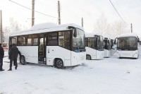 Тагильские перевозчики не стали торговаться за новые автобусы и арендовали их по минимальной цене