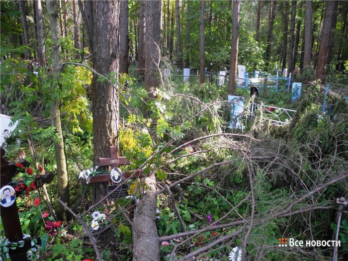 На Рогожинском кладбище убрали деревья, завалившие могилы. Виновники по версии чиновников то ли ветер, то ли дорожники