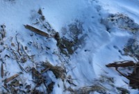 В пригороде Нижнего Тагила выпал первый снег