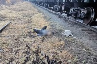Поезд сбил 15-летнюю девочку, которая переходила путь в наушниках (видео)