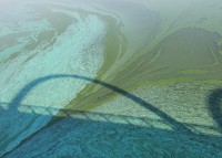 Власти не будут спасать цветущий Нижнетагильский пруд, и не будут требовать этого от ЕВРАЗ НТМК