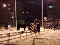 Тагильчане катаются на лошадях по городу вопреки постановлению администрации (фото)