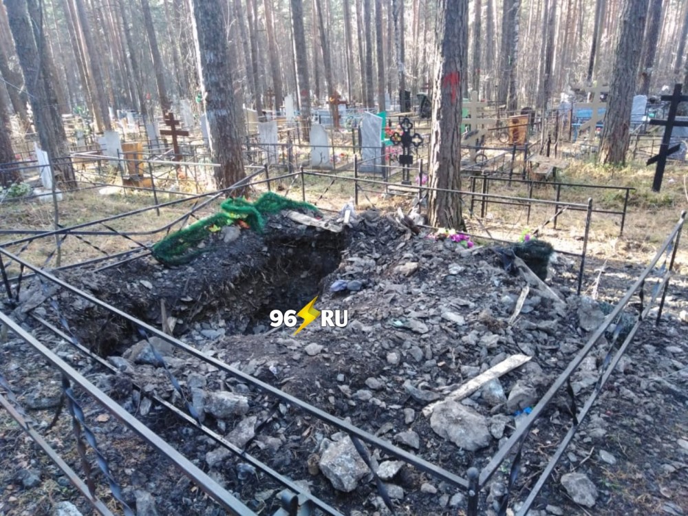 Власти пообещали разобраться с медведем, который разрыл могилу на кладбище в Нижнем Тагиле и съел человеческие останки (фото)
