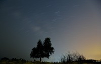 В ночь на 22 апреля тагильчане смогут наблюдать первый весенний звездопад