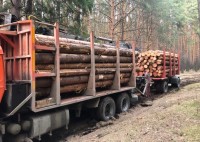 Областная прокуратура требует расторгнуть контракт мэрии Нижнего Тагила с рубщиками леса