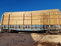 Свердловчанка вагонами вывозила древесину из России