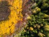 Жуткое зрелище - кислота постепенно съедает лес: фотограф снял затопленный кислотный рудник под Нижним Тагилом