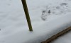 Майский снегопад в Свердловской области: где больше всего снега (данные с метеопостов)
